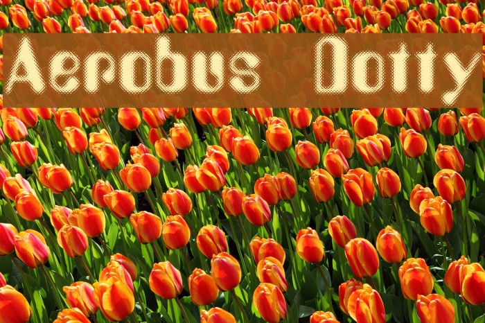 Aerobus Dotty フォント examples