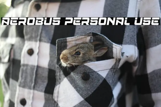 Aerobus Personal Use Example 2