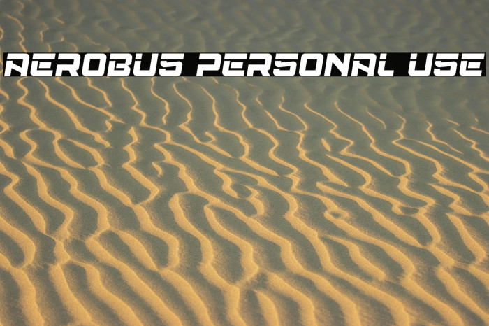 Aerobus Personal Use Example 3