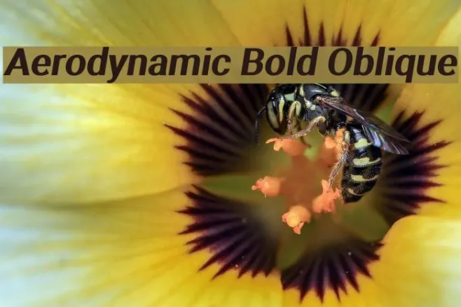 Aerodynamic Bold Oblique Example 3