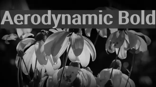 Aerodynamic Bold Font examples