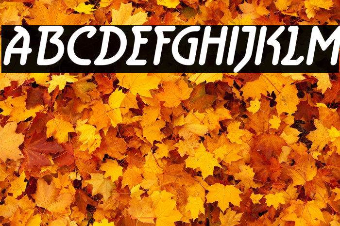 Aerolite Bold Italic Example 1