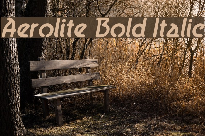 Aerolite Bold Italic Font examples