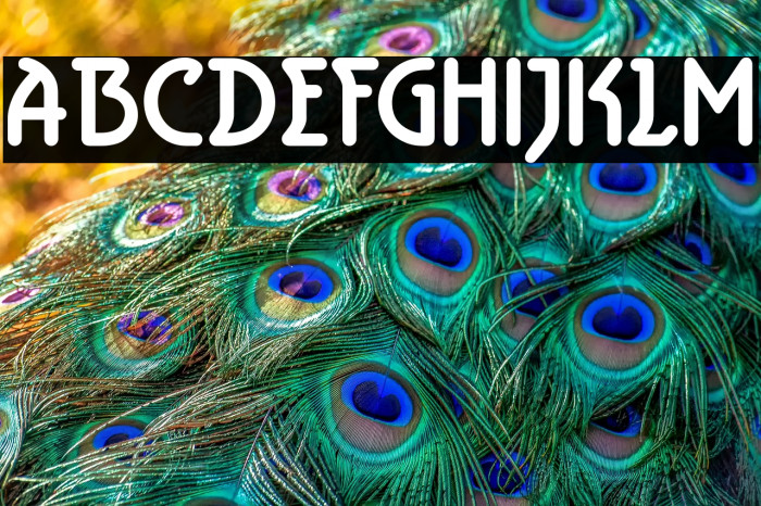 Aerolite Bold Example 3