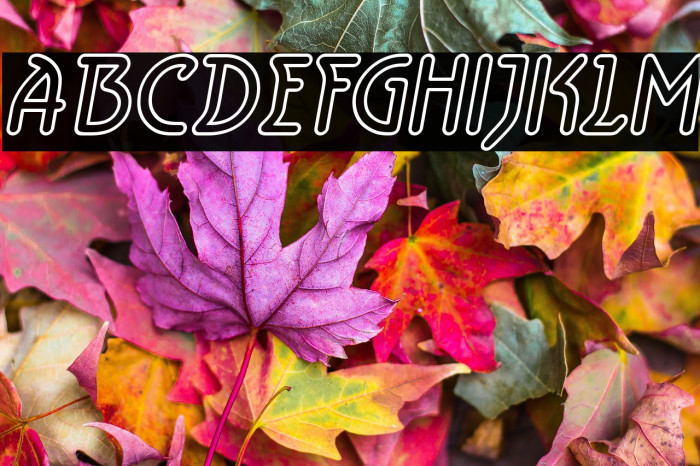 Aerolite Sky Italic Example 1