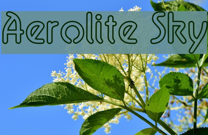 Aerolite Sky Fonte examples