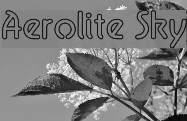 Aerolite Sky Font examples