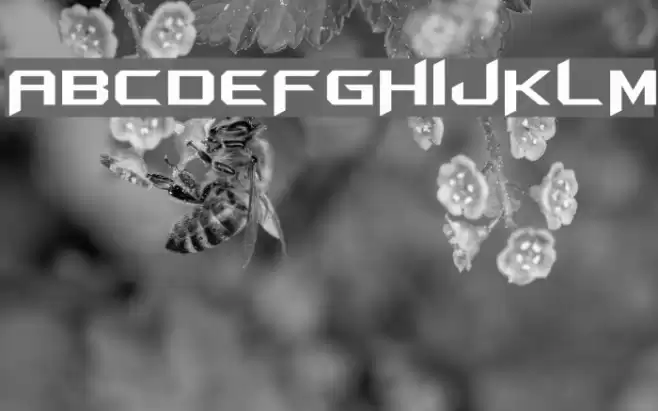 Aeromatics NC Font examples