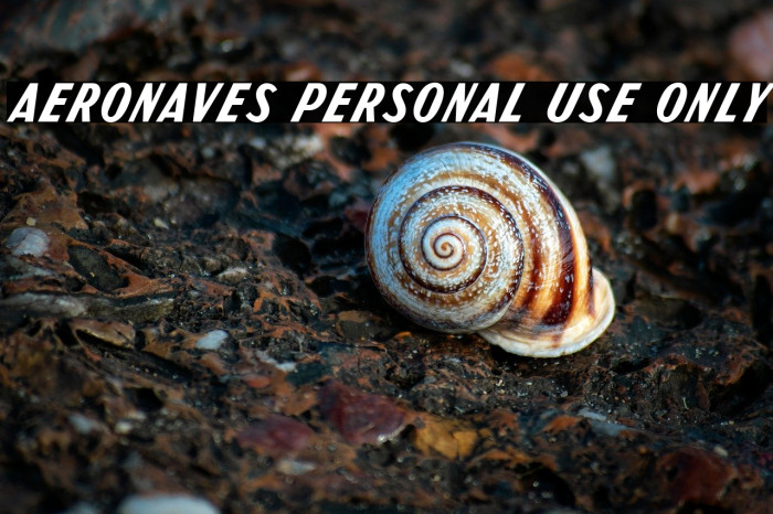 Aeronaves PERSONAL USE ONLY Example 1