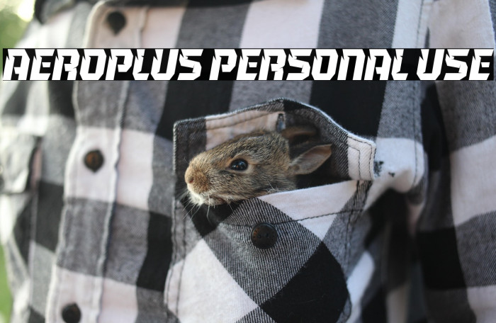 Aeroplus Personal Use Example 1