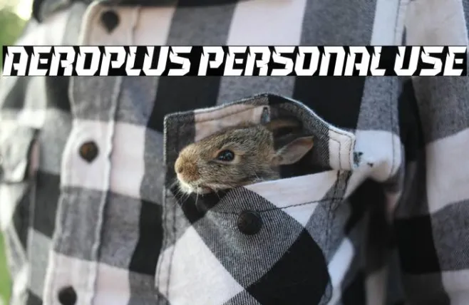 Aeroplus Personal Use Example 1
