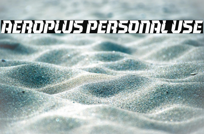 Aeroplus Personal Use Example 3