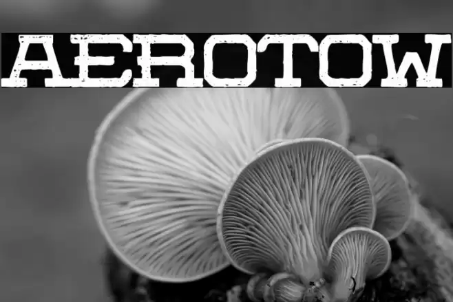 Aerotow Font examples