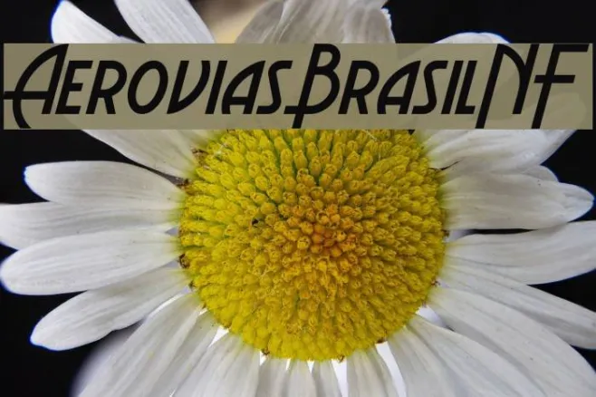 Aerovias Brasil NF Example 1