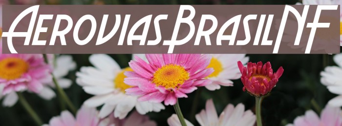 Aerovias Brasil NF フォント examples