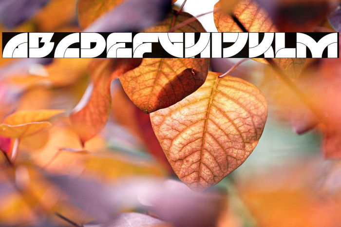 Aeroworld Personal Used Example 1