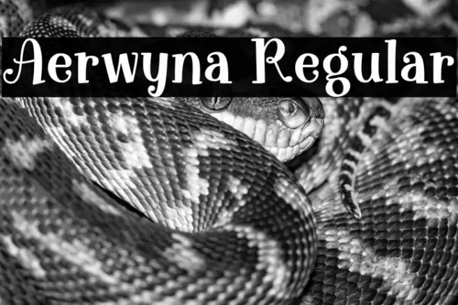 Aerwyna Regular फ़ॉन्ट examples