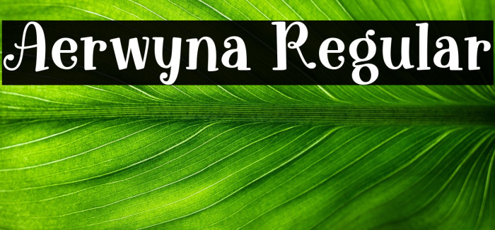 Aerwyna Regular Example 2