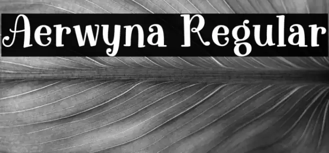 Aerwyna Regular फ़ॉन्ट examples