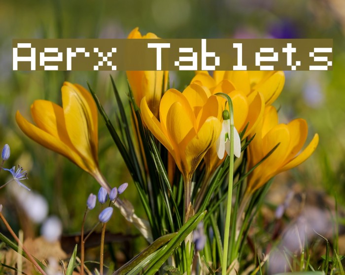 Aerx Tablets Example 1