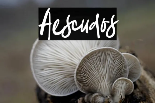 Aescudos Example 1