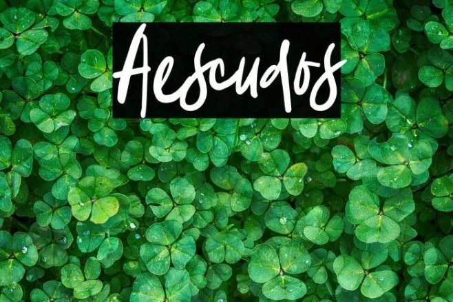 Aescudos Example 2