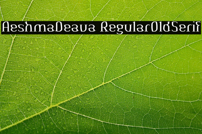 AeshmaDeava RegularOldSerif Example 1