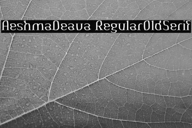 AeshmaDeava RegularOldSerif Font examples
