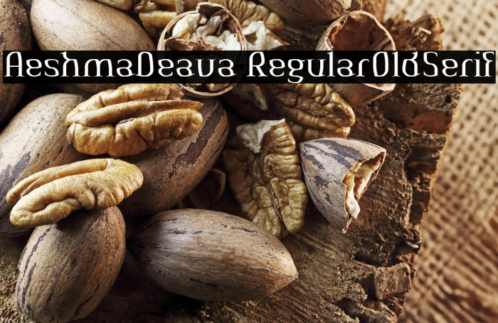 AeshmaDeava RegularOldSerif Example 3