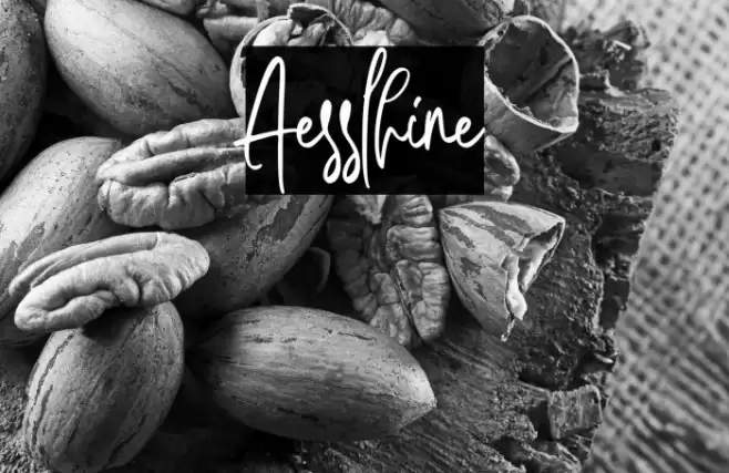 Aesslhine Font examples