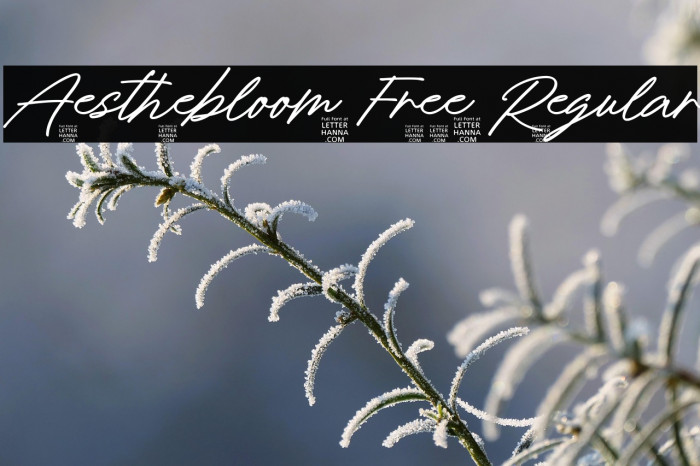 Aesthebloom Free Regular Example 2