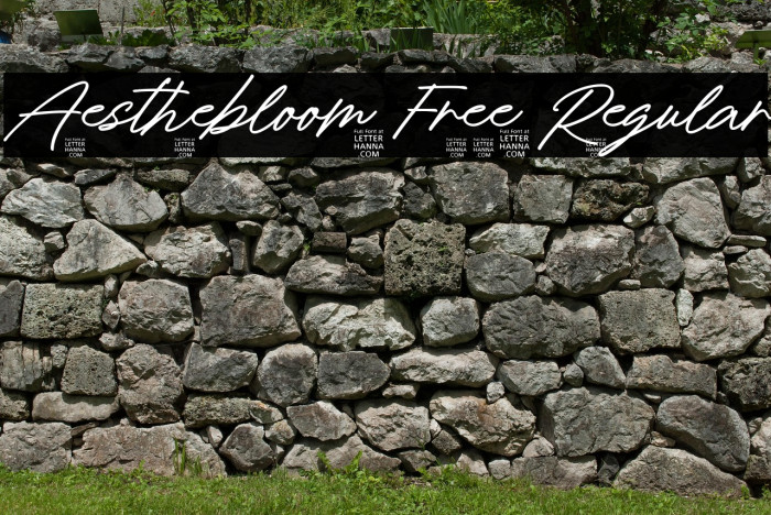Aesthebloom Free Regular Example 3