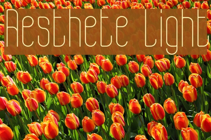 Aesthete Light Font examples