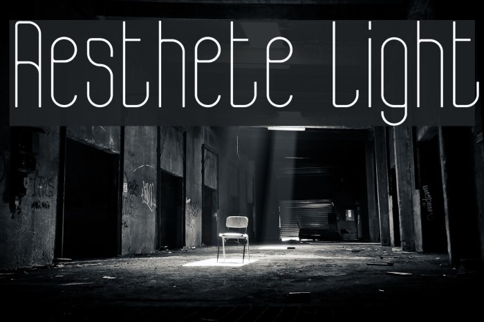Aesthete Light Font examples