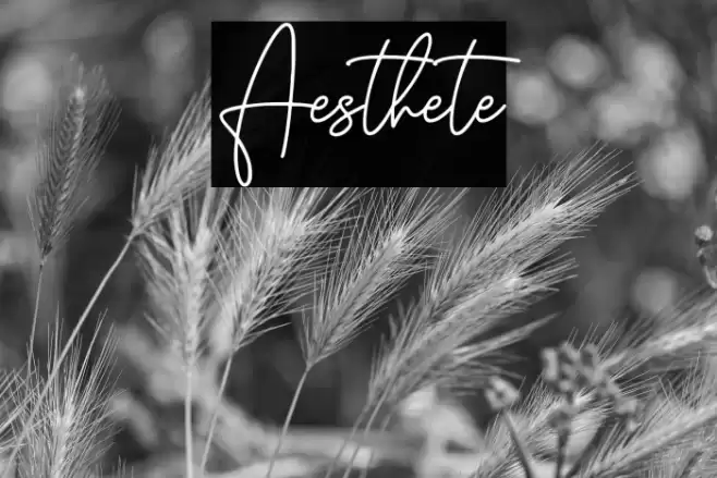Aesthete Font examples