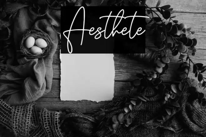 Aesthete Font examples