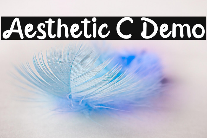Aesthetic C Demo Example 1