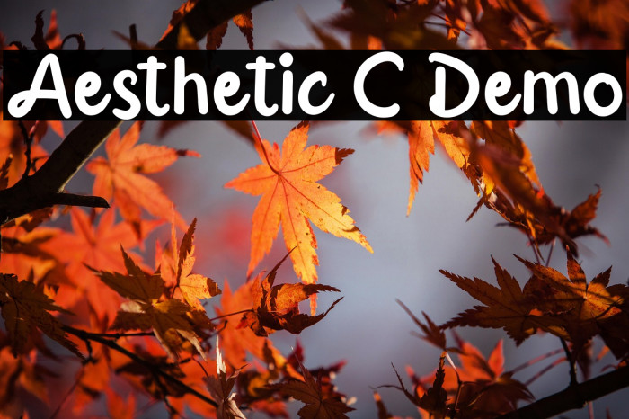 Aesthetic C Demo Example 2