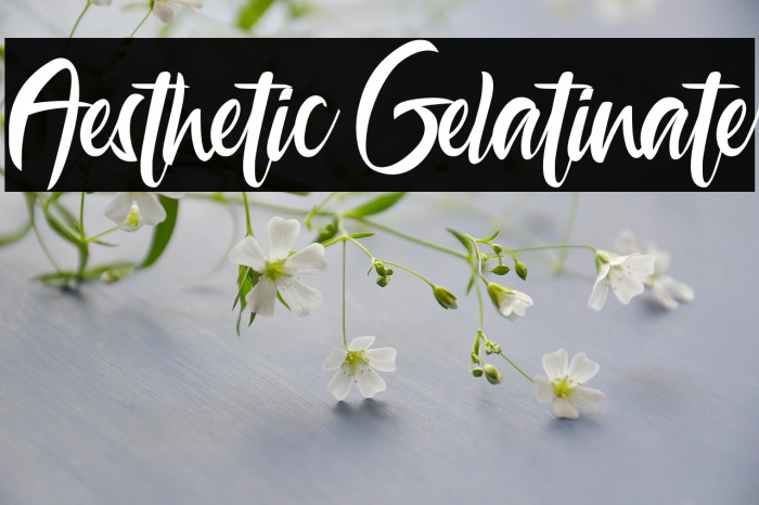 Aesthetic Gelatinate Example 2