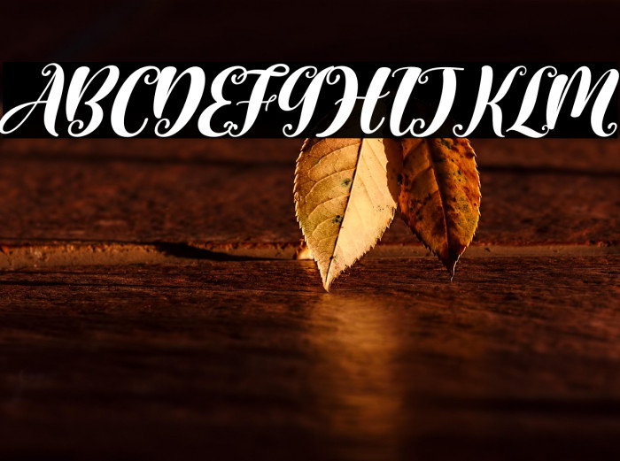 Aesthetic Midnight Slant Example 2