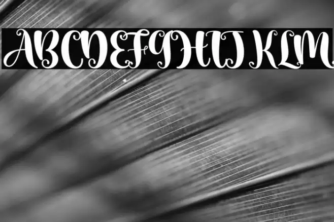 Aesthetic Midnight Font examples