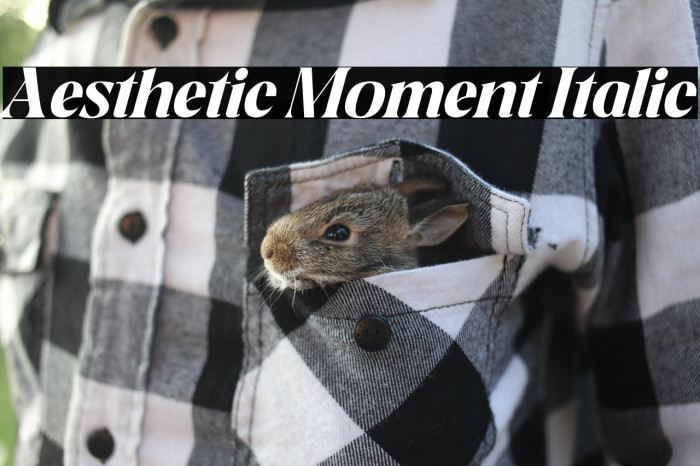 Aesthetic Moment Italic Example 1