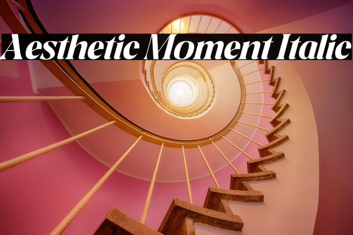 Aesthetic Moment Italic Example 2