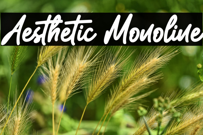 Aesthetic Monoline Fuentes examples