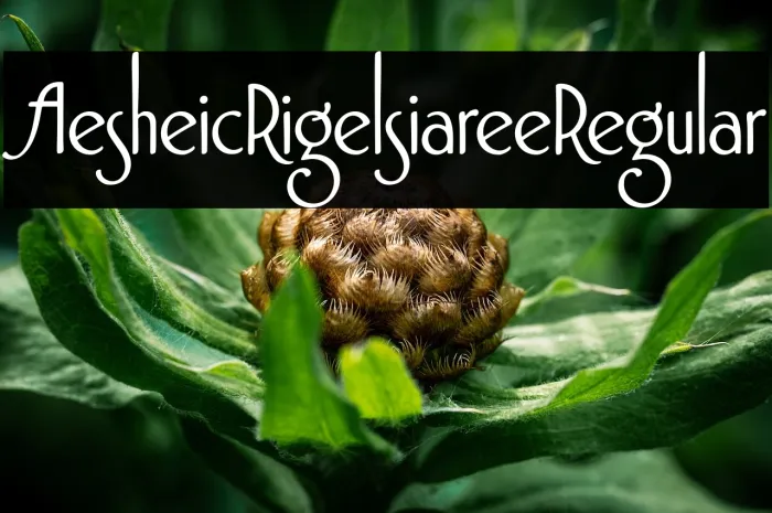 Aesthetic Rigelsia Free Regular Example 2