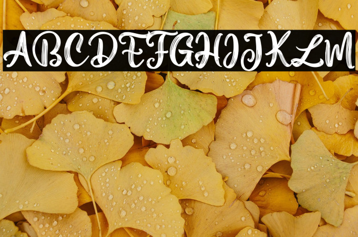 Aesthetic Violet Example 2