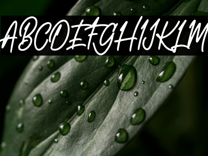 AestheticNotes-Demo Example 1