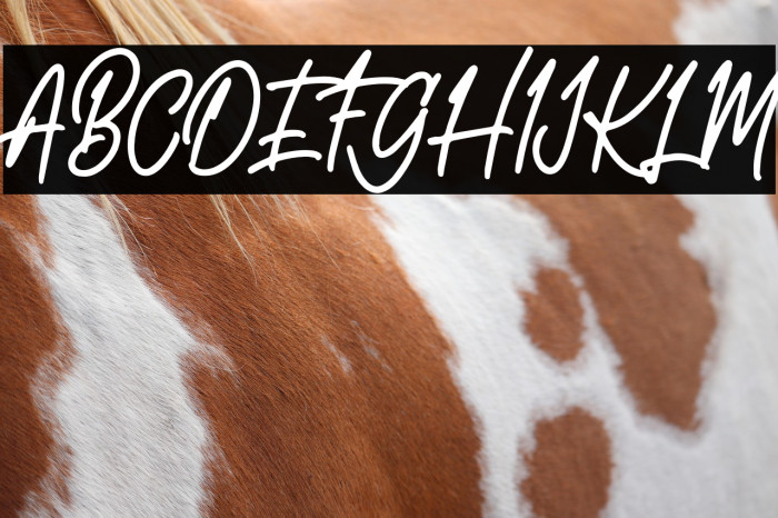 AestheticNotes-Demo Example 2