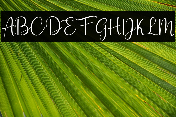 AestheticScript-Regular Example 1