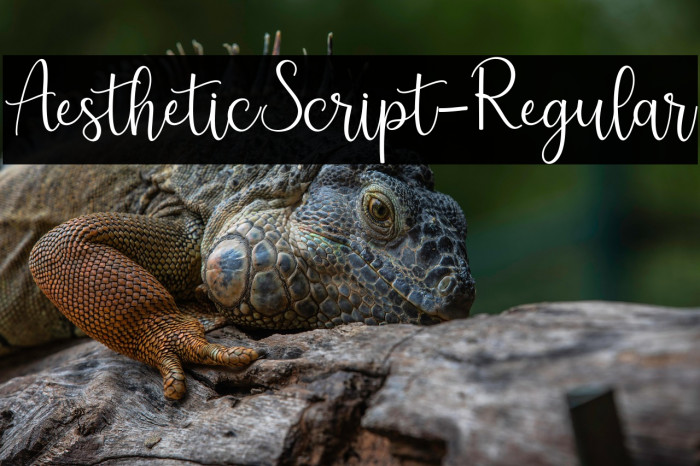 AestheticScript-Regular Example 1